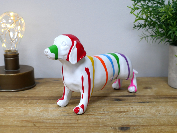 Small White Dog with Stripes