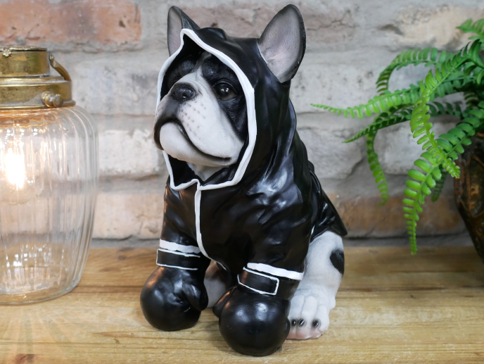 Boxing Dog - Black robe