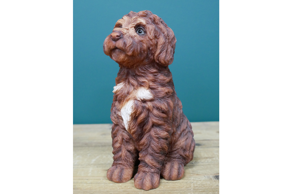 Brown Haired Dog