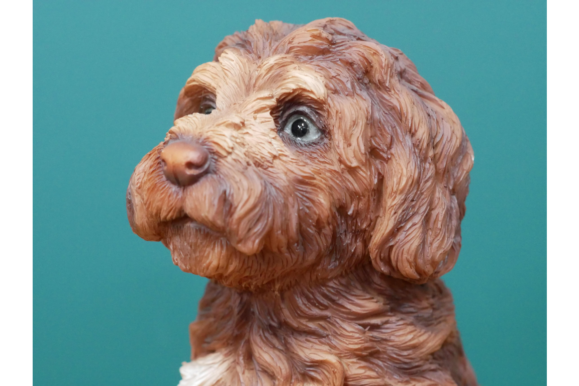 Brown Haired Dog