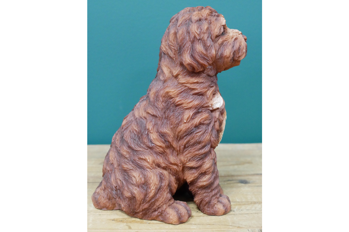 Brown Haired Dog