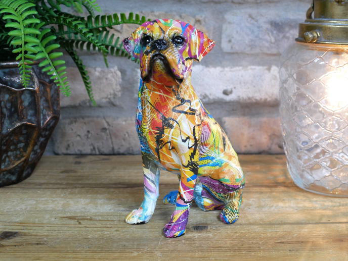 Sitting Colourful dog