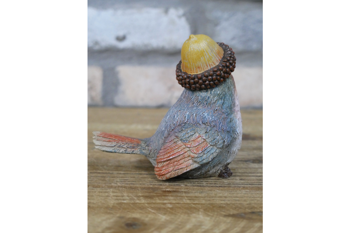 Robin with Acorn Hat