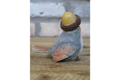 Robin with Acorn Hat