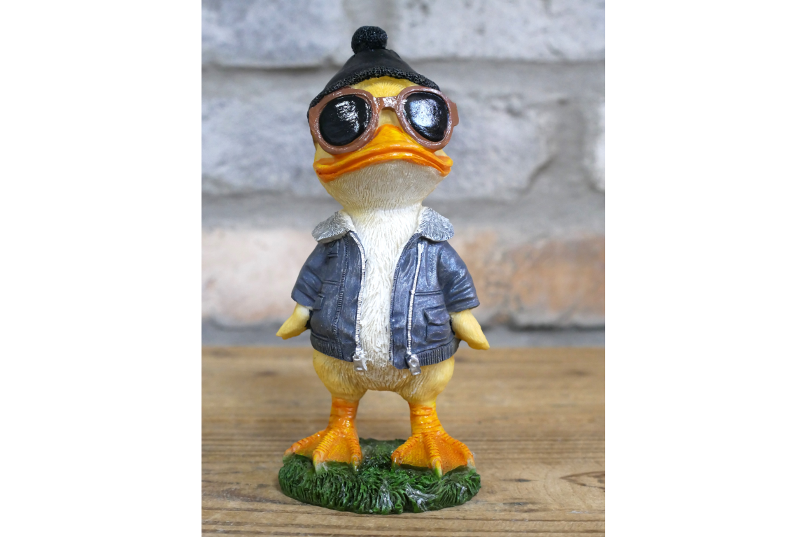 Cool Duck