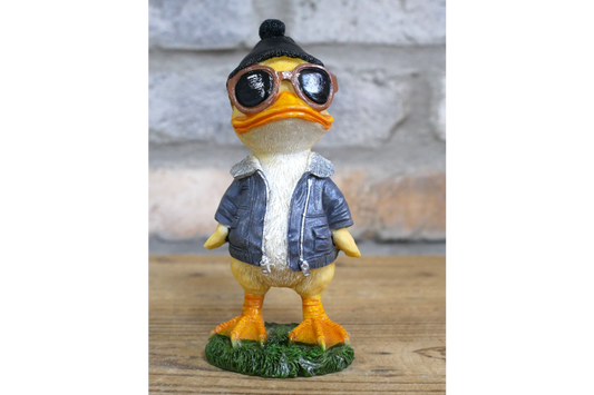 Cool Duck