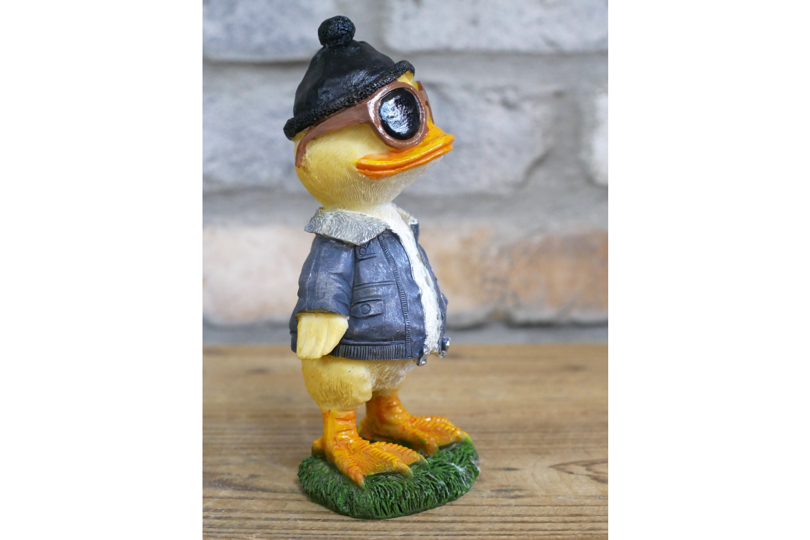 Cool Duck