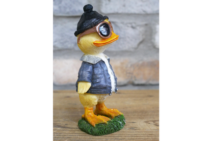 Cool Duck