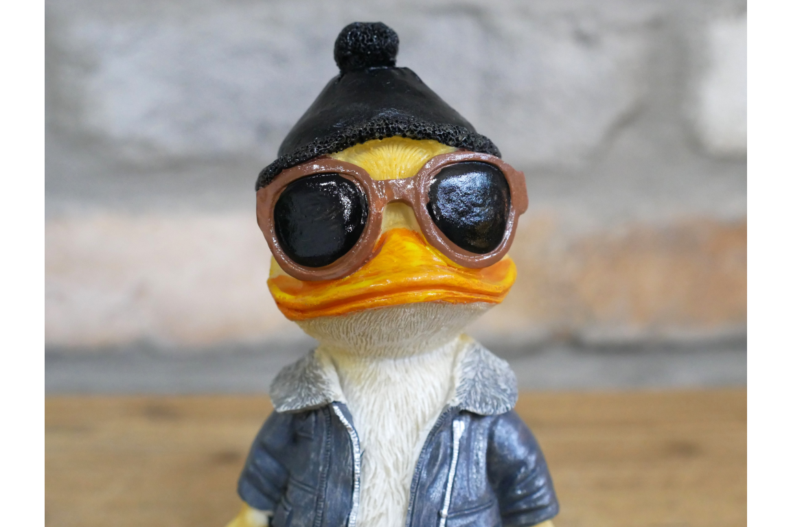 Cool Duck