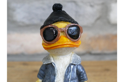 Cool Duck