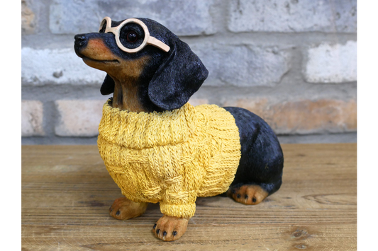 Dog in Sweater