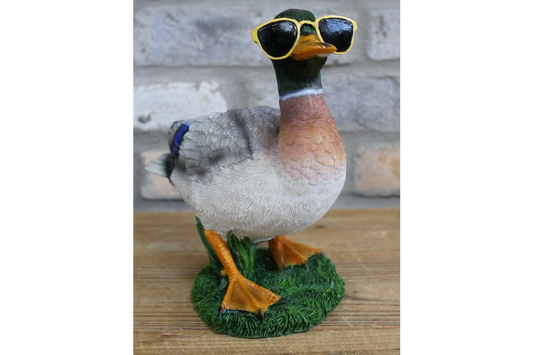 Duck in shades