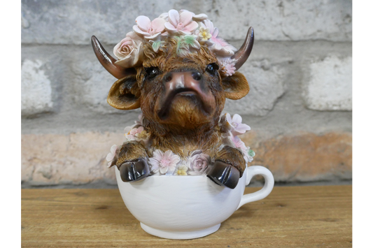 Highland Cow In Tea Cup
