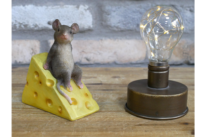 Mouse on Cheese
