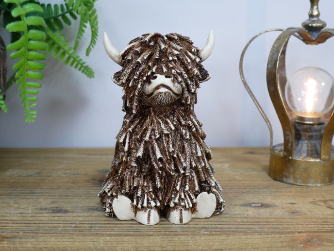 Sitting Shaggy Highland Cow
