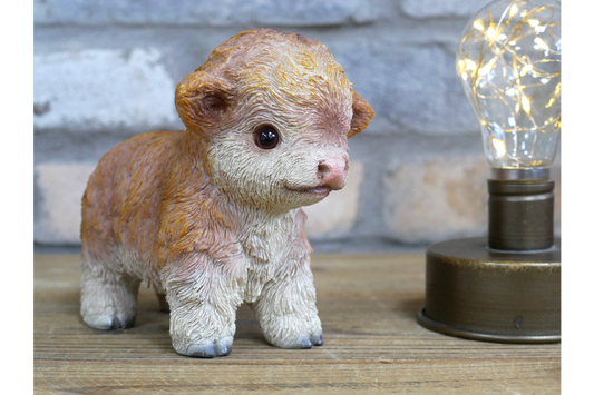 Small Baby Cow