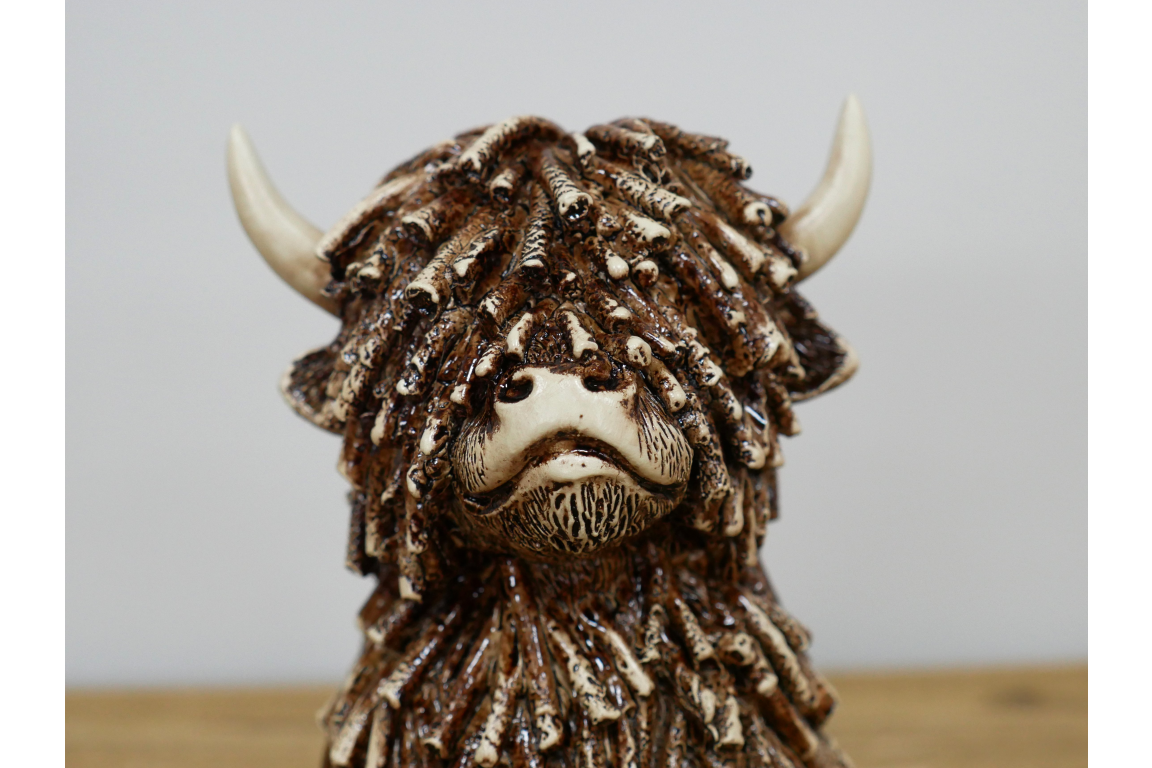 Sitting Shaggy Highland Cow