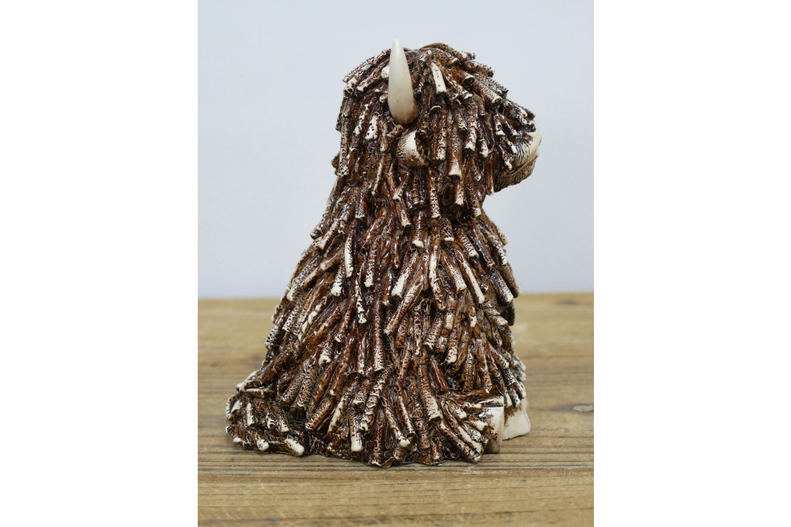 Sitting Shaggy Highland Cow
