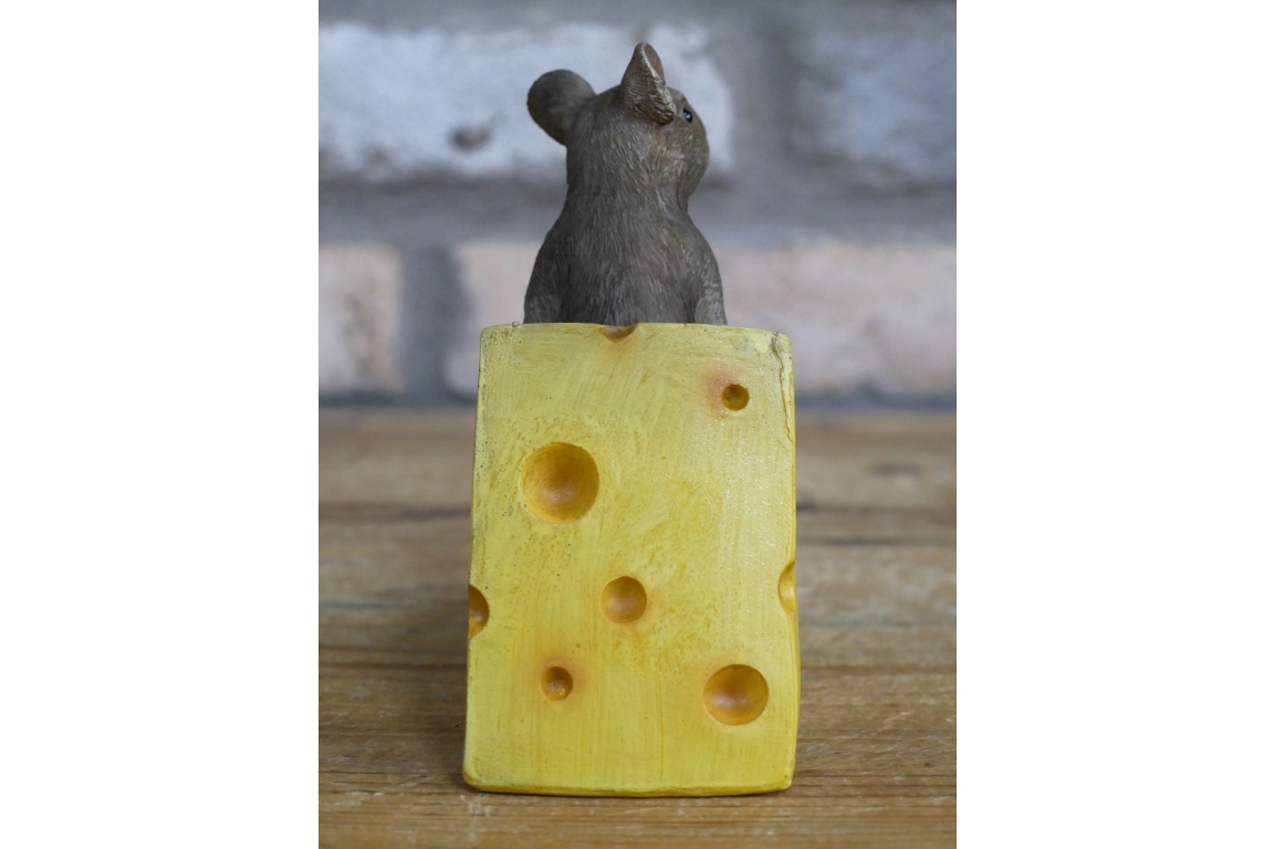 Mouse on Cheese