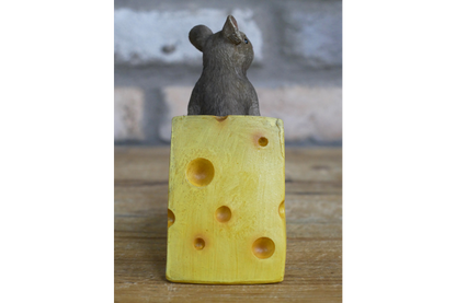 Mouse on Cheese