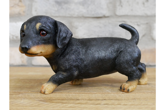 Small Dog